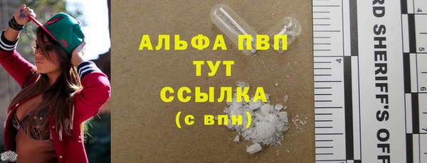 гашик Алексеевка