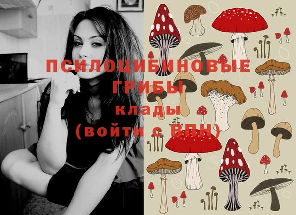 соль курить ск Абаза