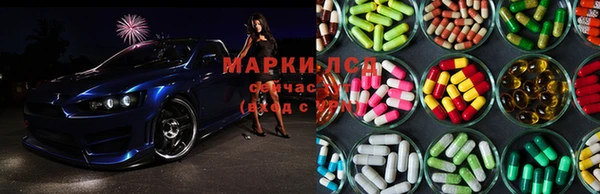 трава Абинск